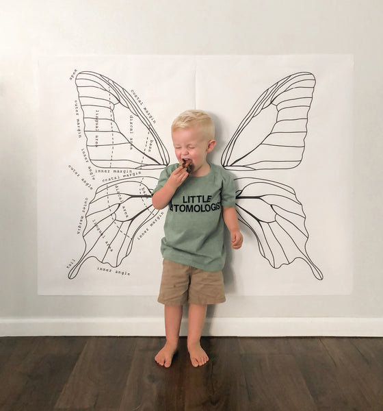 Butterfly Wings Mural