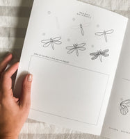 Insect Field Notes Activity