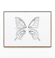 Labeled Butterfly Wings Artwork